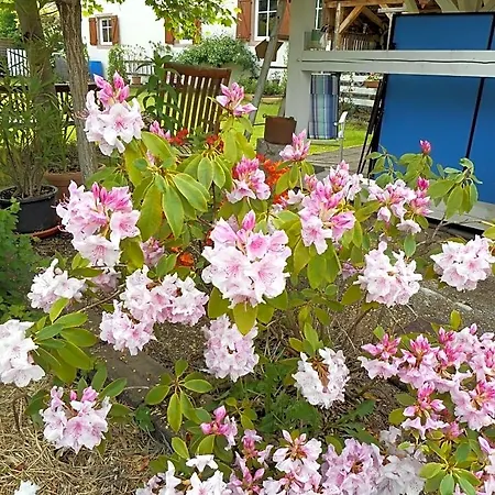 La Charmaie Bed & Breakfast Husseren-Wesserling