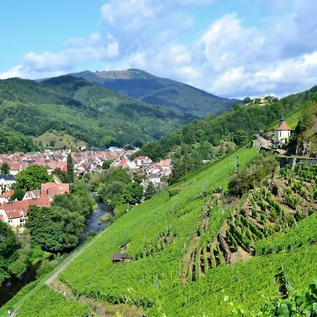 Bed & Breakfast La Charmaie Husseren-Wesserling